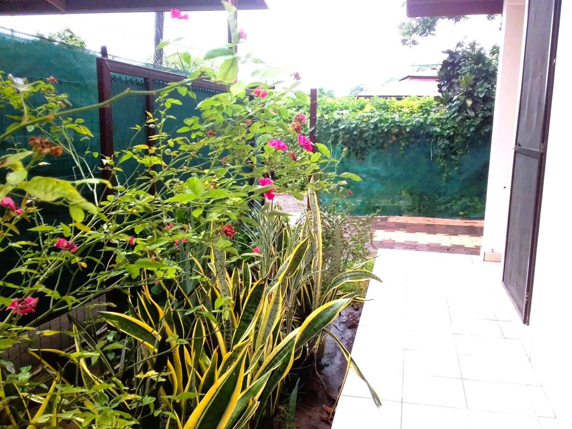 Belle Maison F3 Papeete  Exterior photo